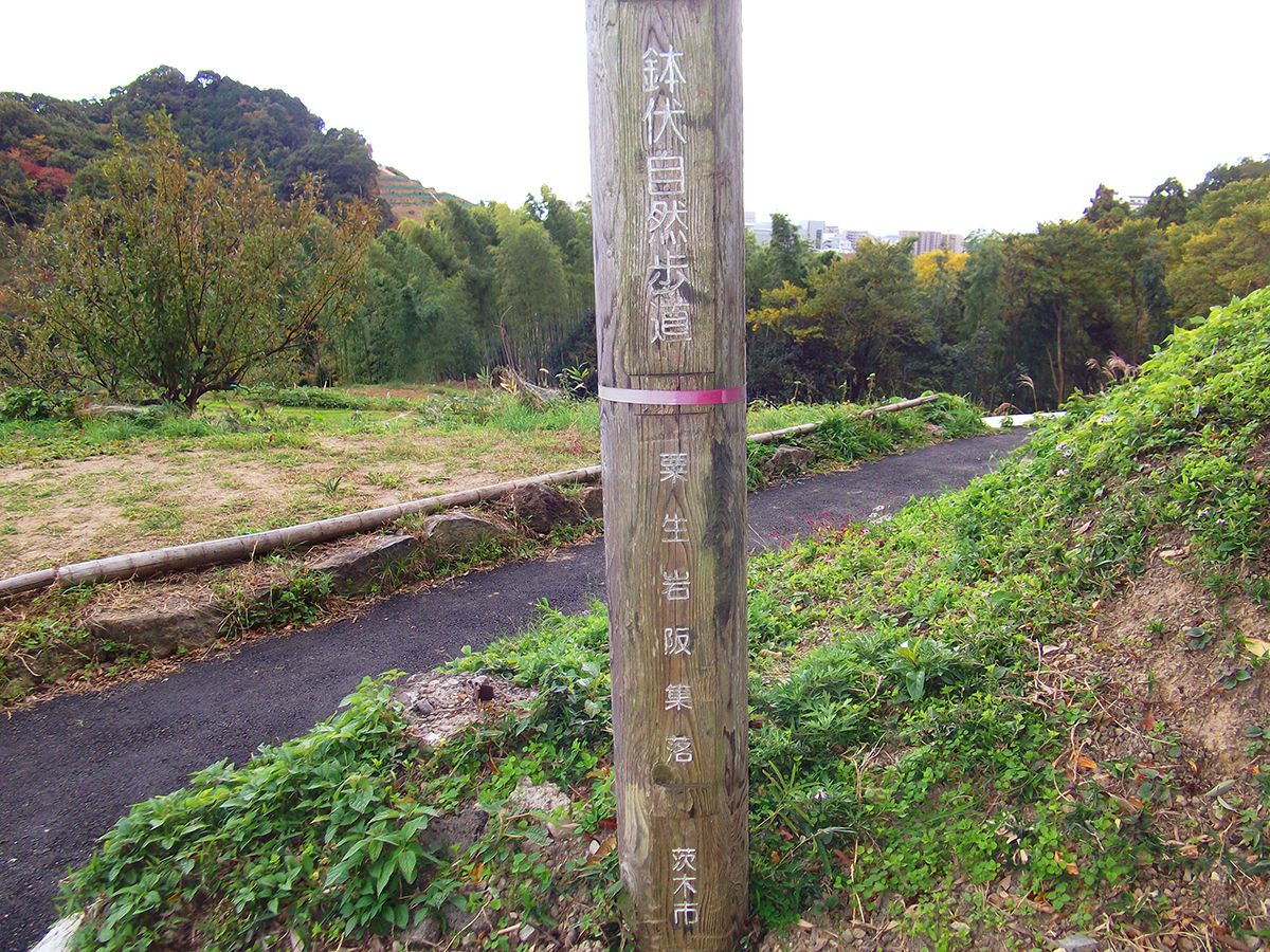 茨木・鉢伏山1