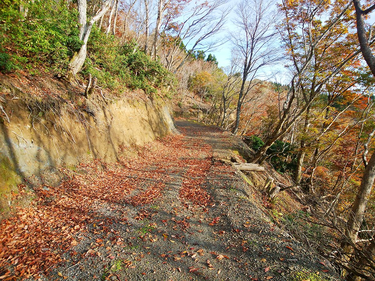 京都・雲取山9