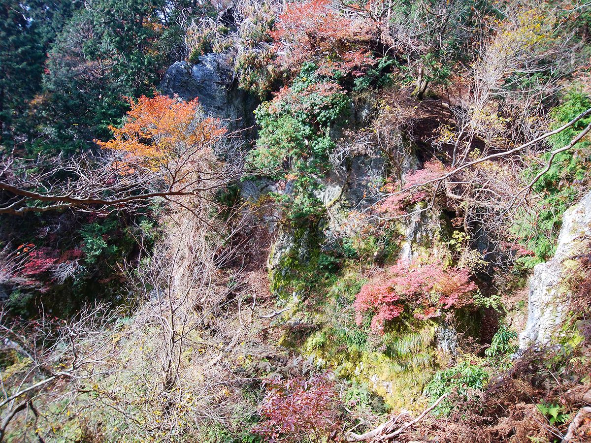 京都・雲取山24