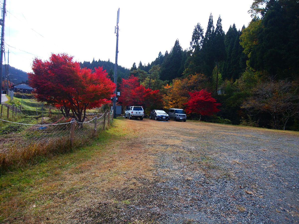 京都・雲取山32