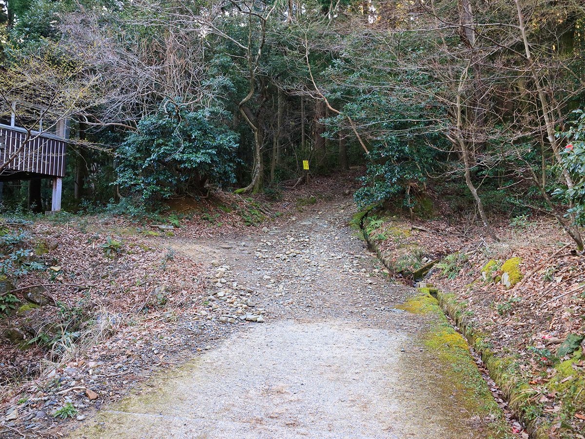 野坂岳4