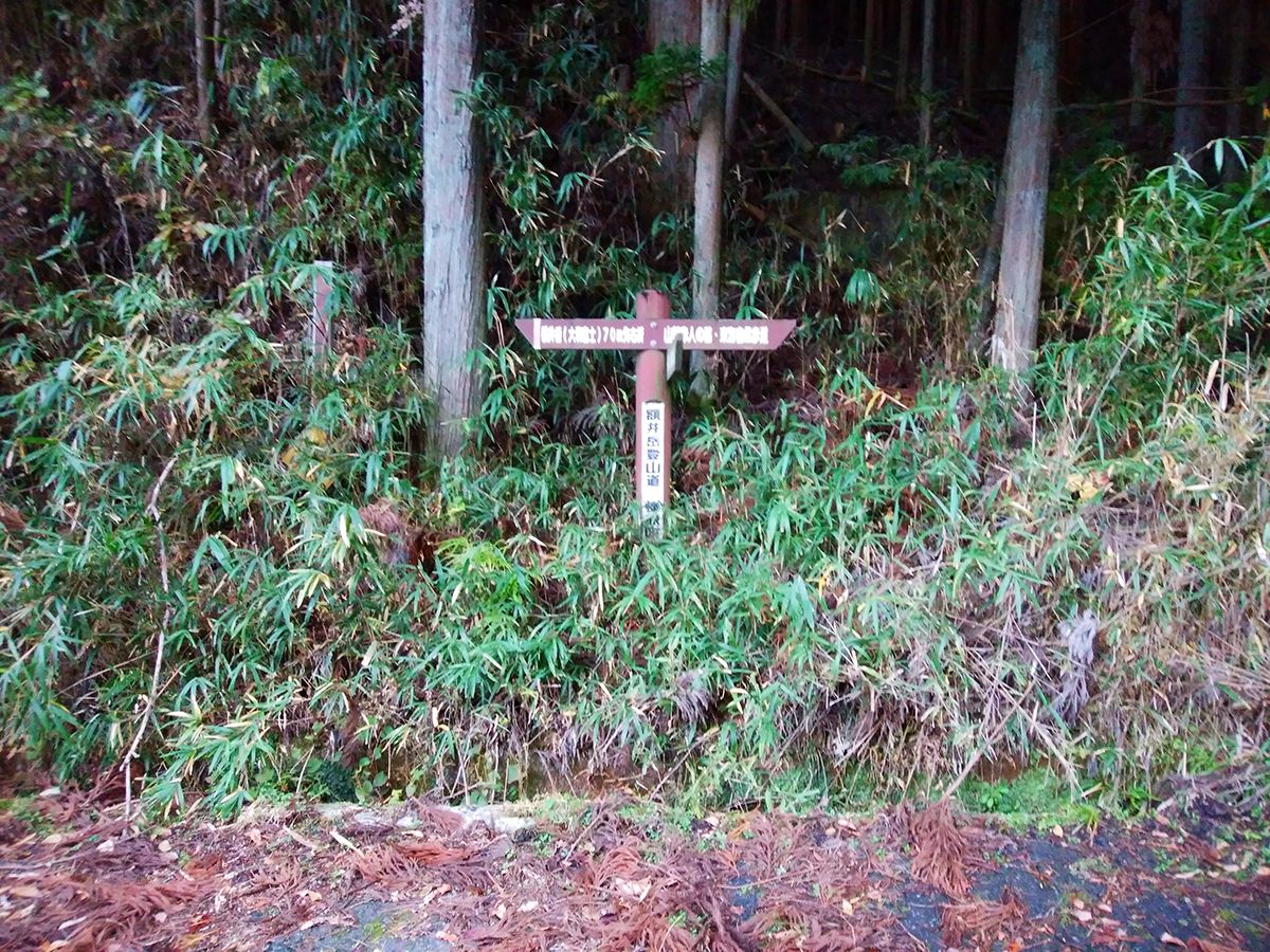 額井岳・戒場山5