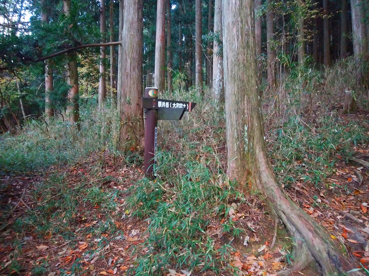 額井岳・戒場山6