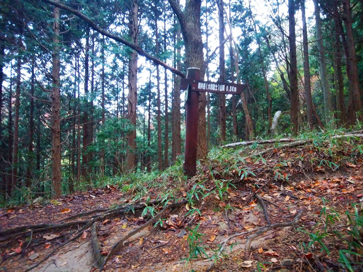 額井岳・戒場山8