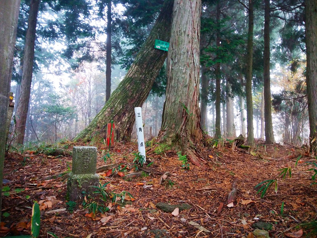額井岳・戒場山11
