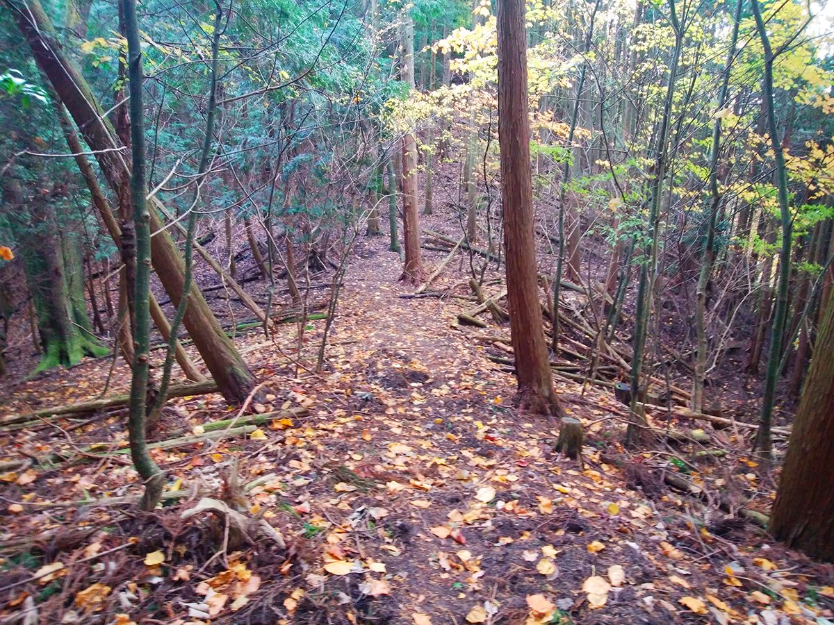 額井岳・戒場山14
