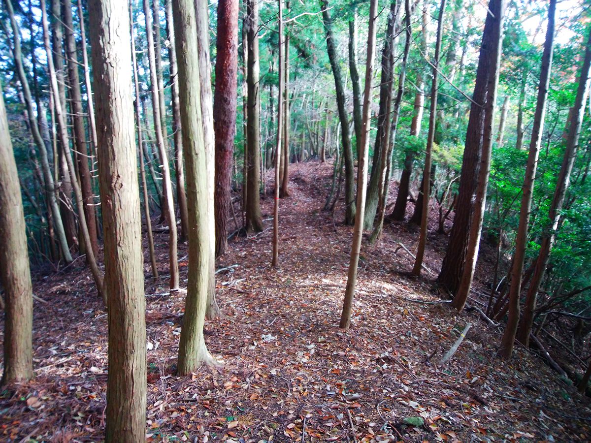 額井岳・戒場山16