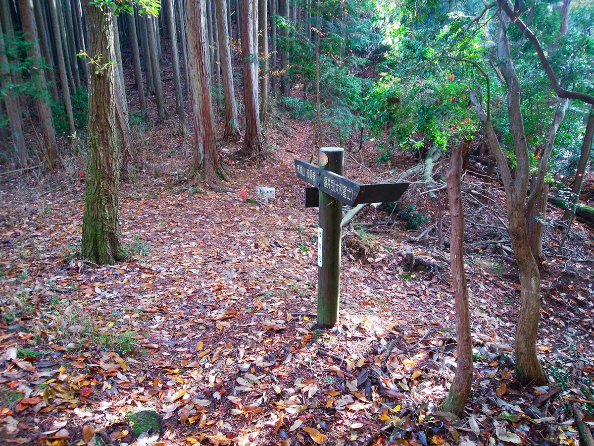 額井岳・戒場山17