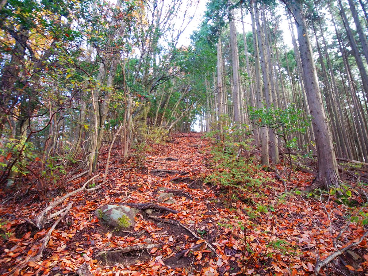 額井岳・戒場山18