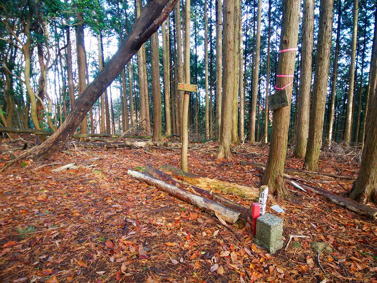 額井岳・戒場山19
