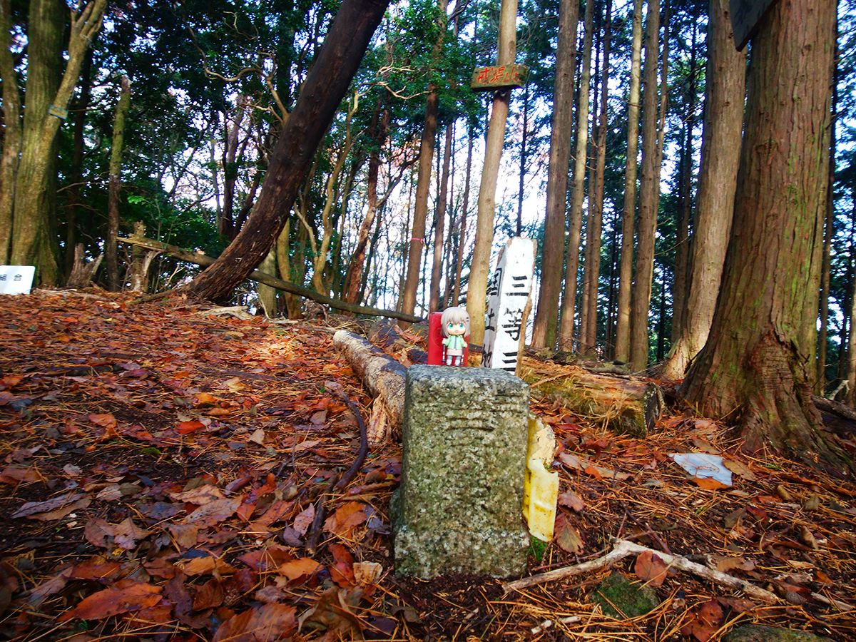 額井岳・戒場山21