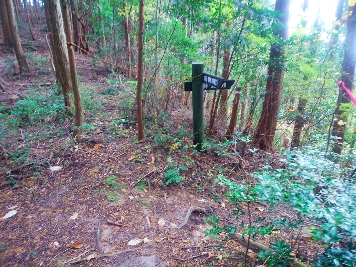 額井岳・戒場山23