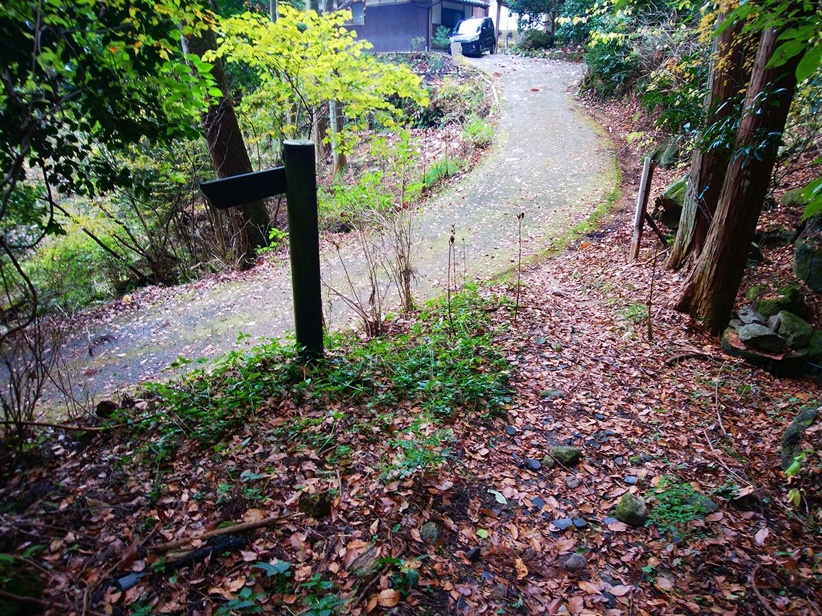 額井岳・戒場山24