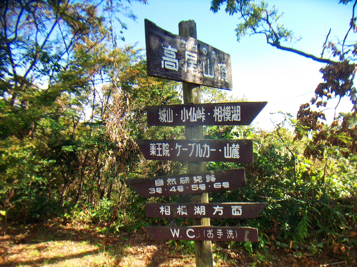 高尾山 6号路 4号路 涼のハイキングコースや山行記録