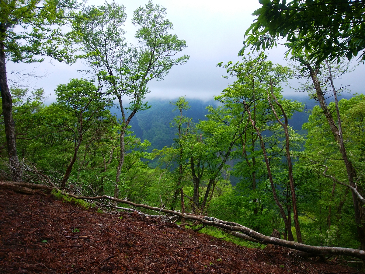 皆子山11