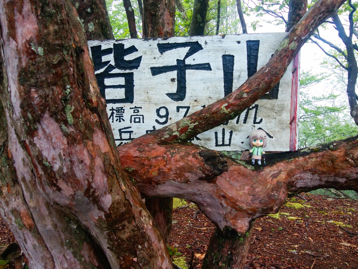 皆子山20