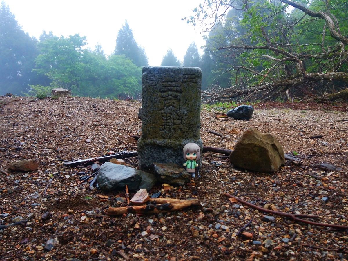 皆子山21