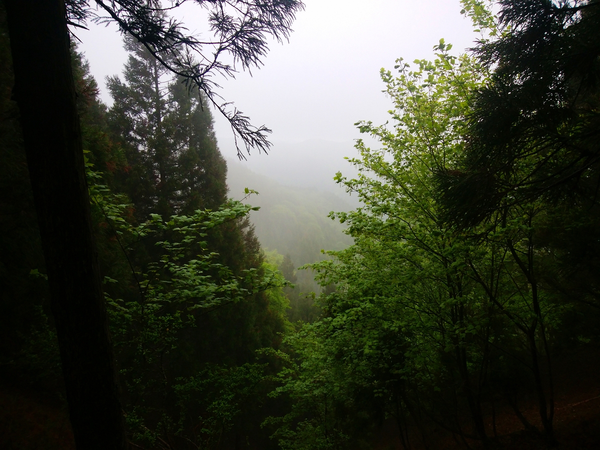 皆子山26
