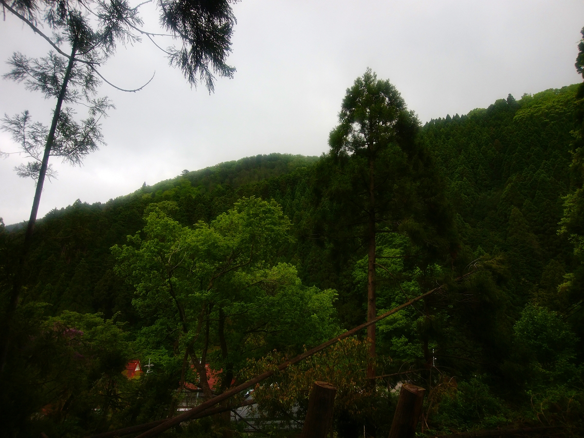 皆子山27
