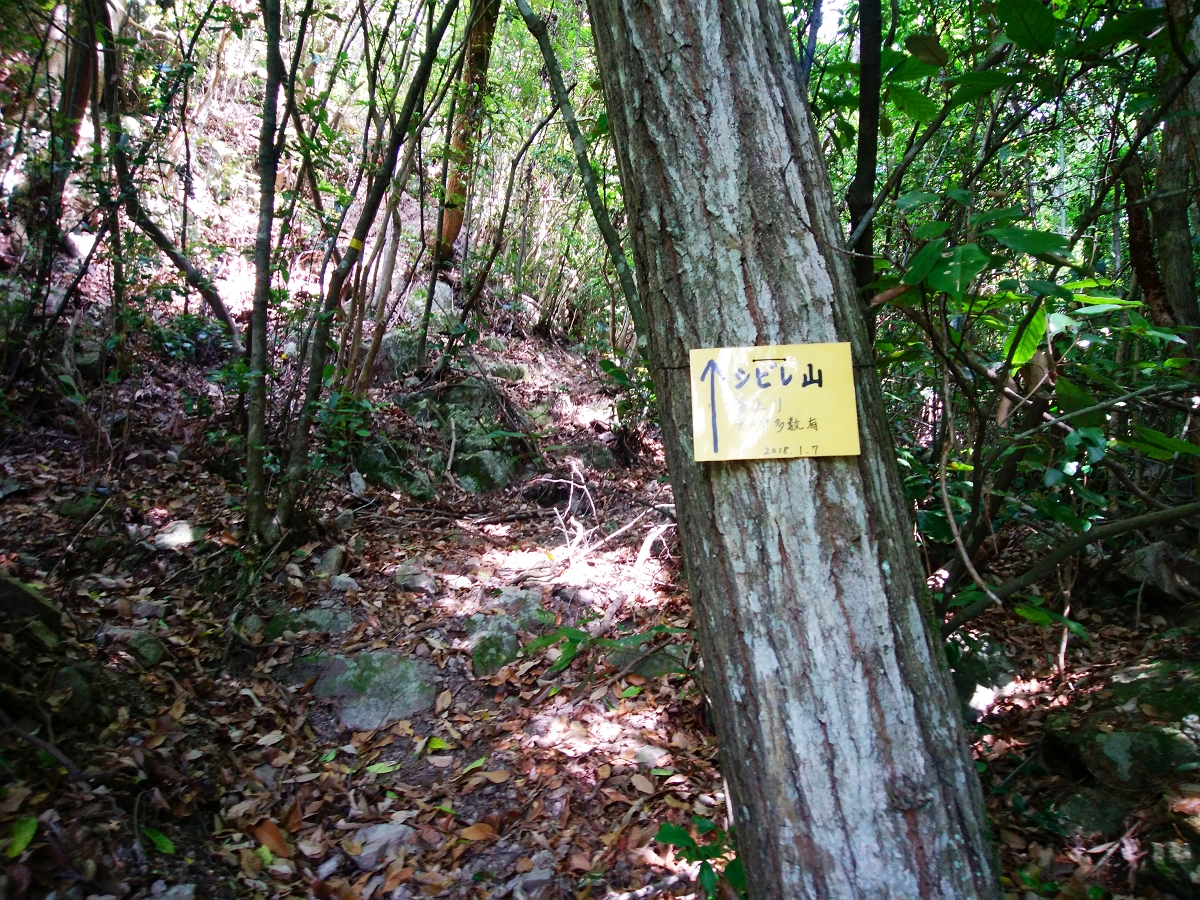 帝釈山6