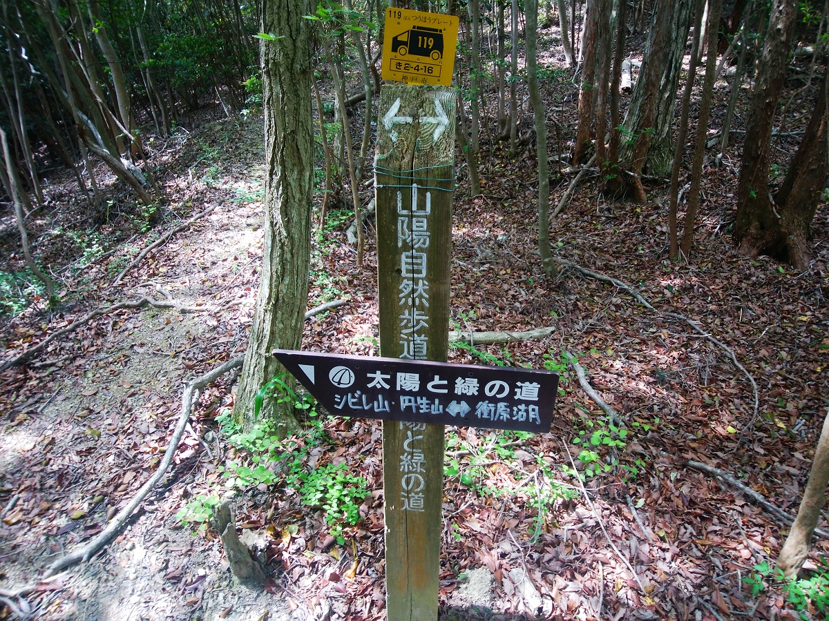 帝釈山17