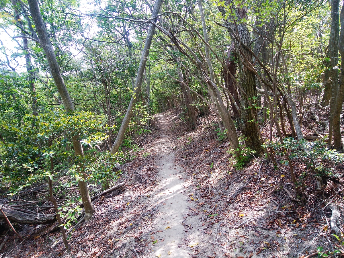 帝釈山18
