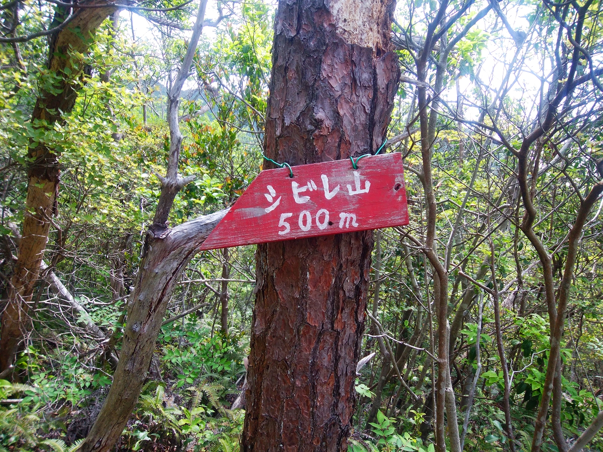 帝釈山21