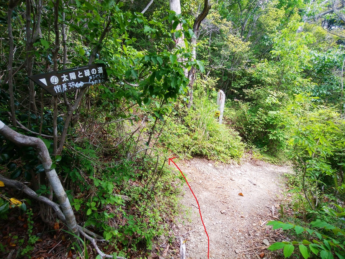 帝釈山22