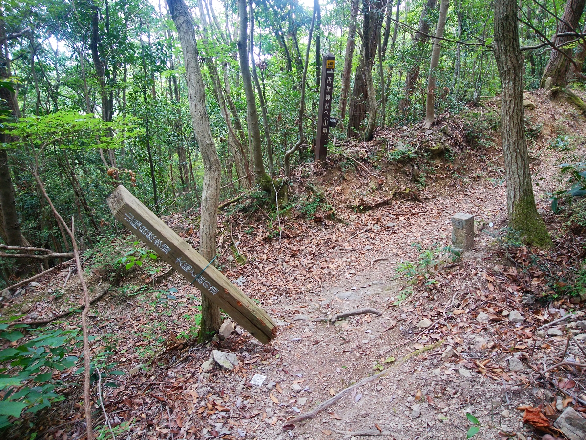 帝釈山29