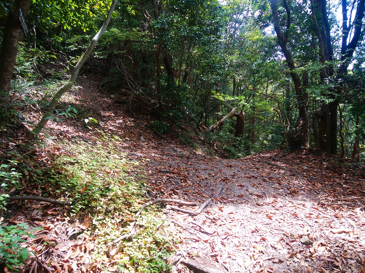 帝釈山30
