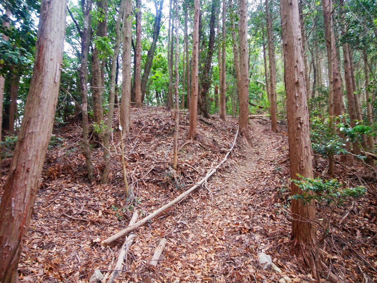 帝釈山31