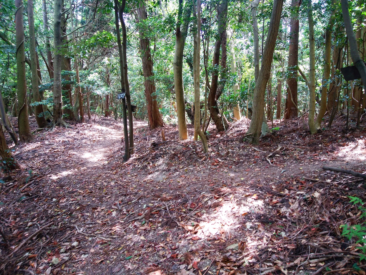 帝釈山32