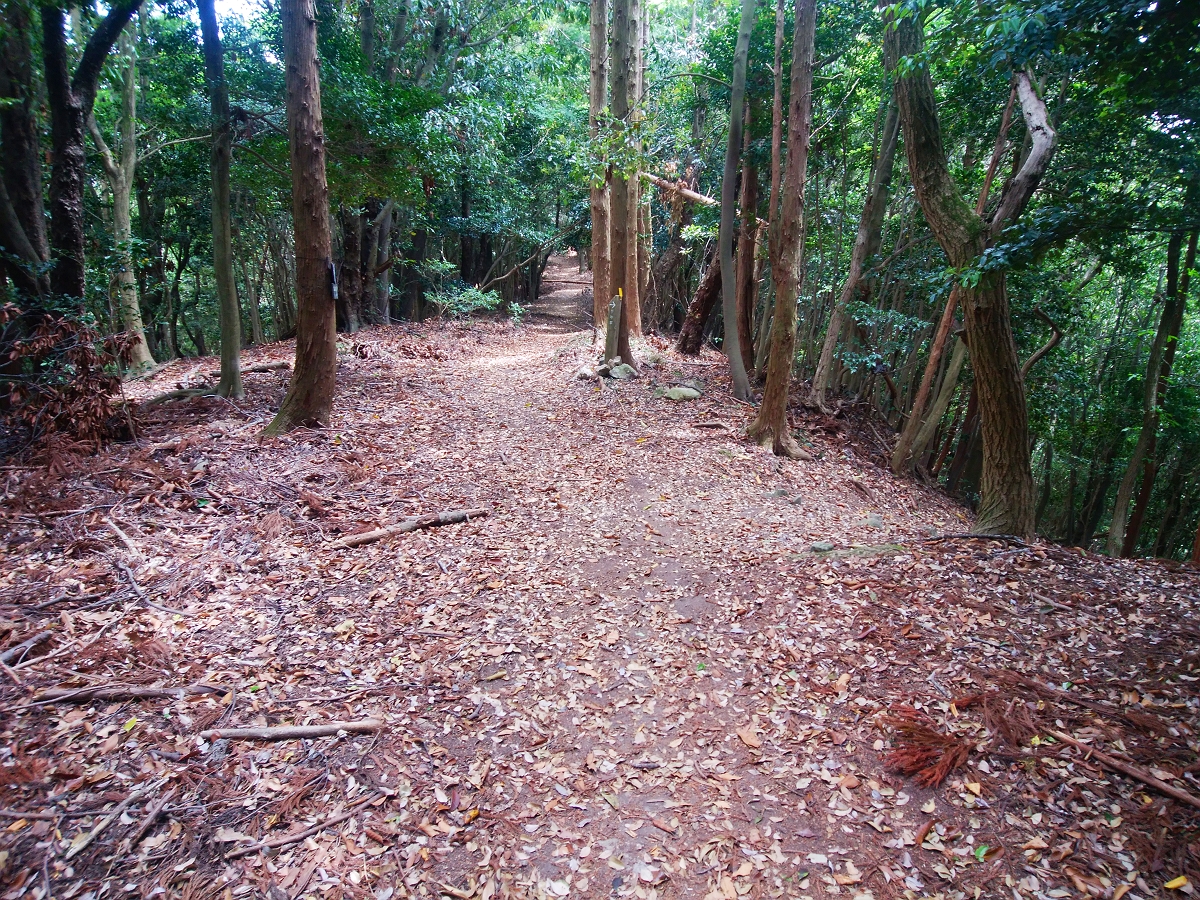 帝釈山45