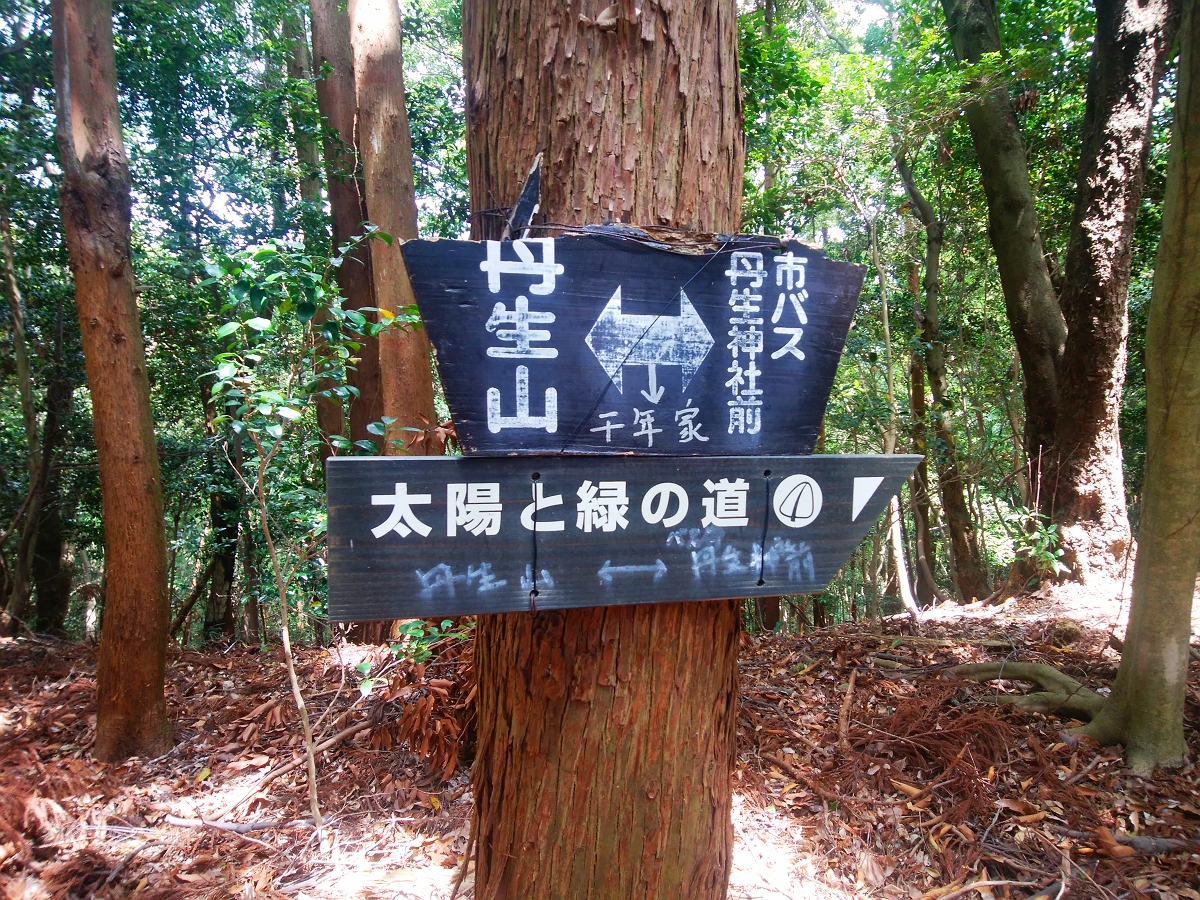 帝釈山46