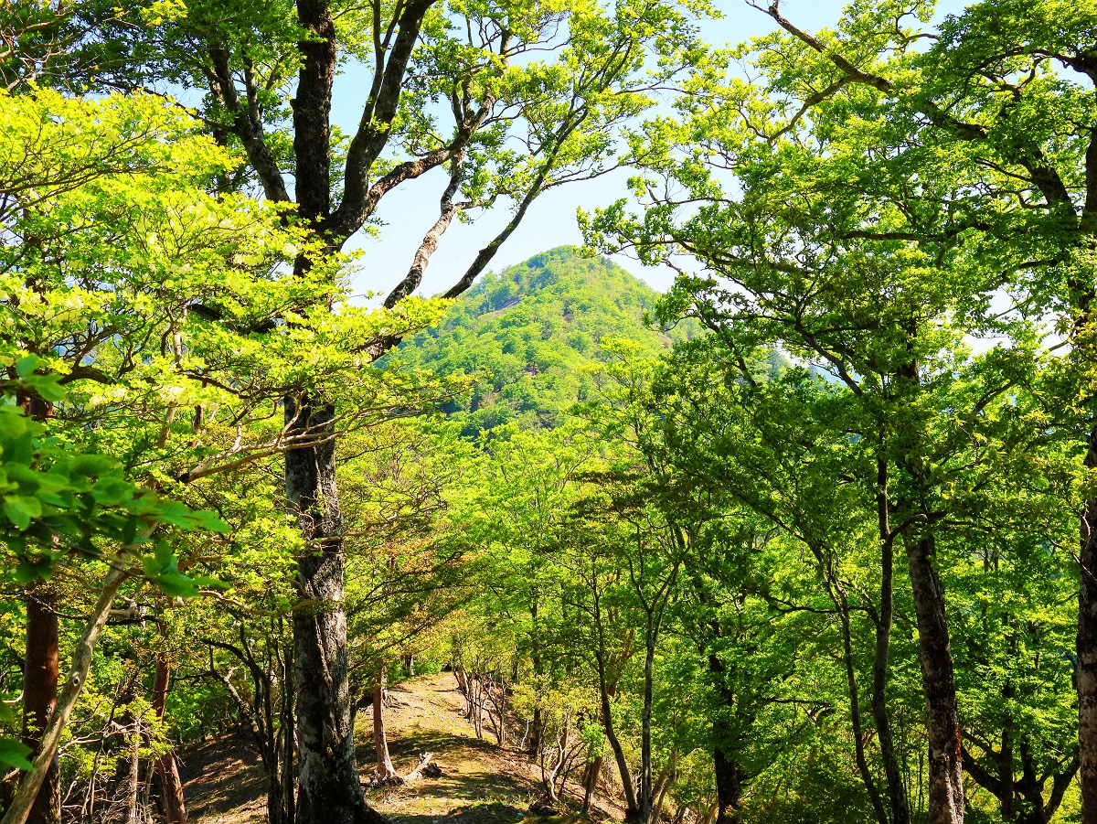 涅槃岳~地蔵岳18