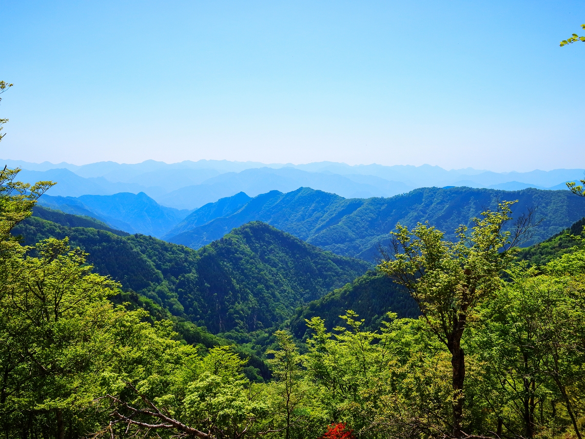涅槃岳~地蔵岳19