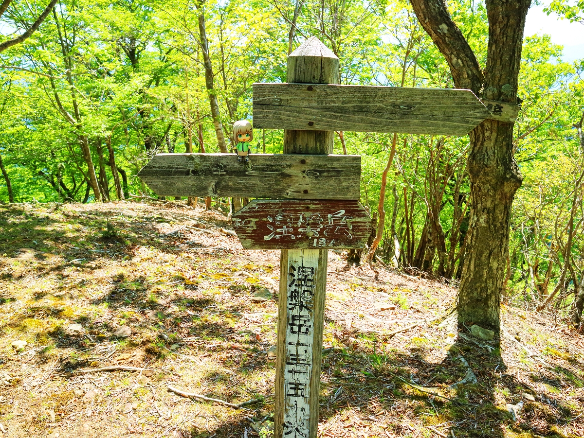 涅槃岳~地蔵岳22