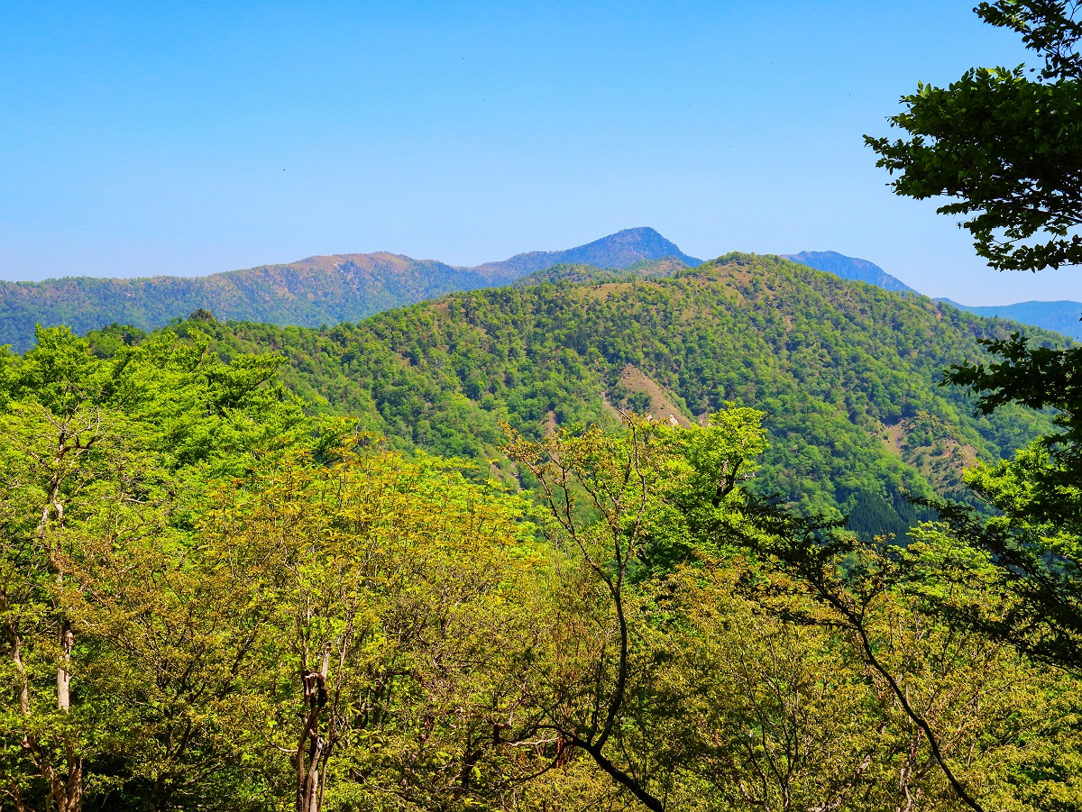 涅槃岳~地蔵岳23