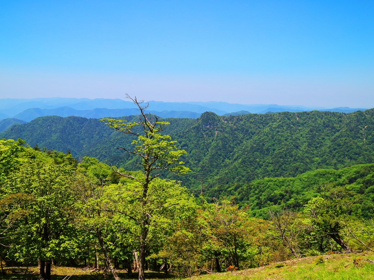 涅槃岳~地蔵岳36