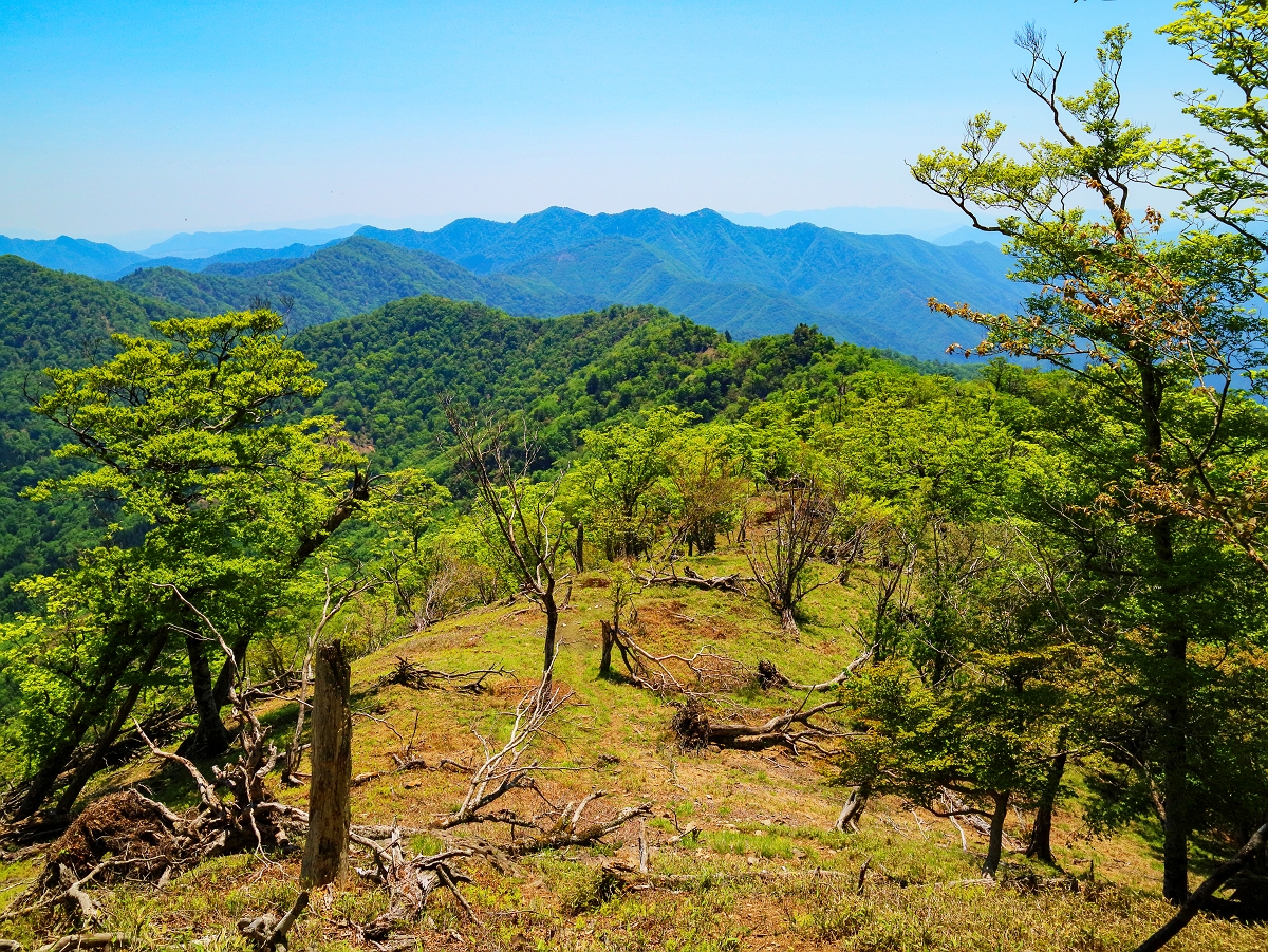 涅槃岳~地蔵岳48