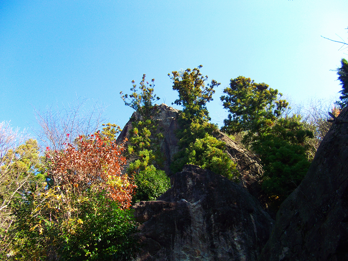 剣尾山～横尾山4