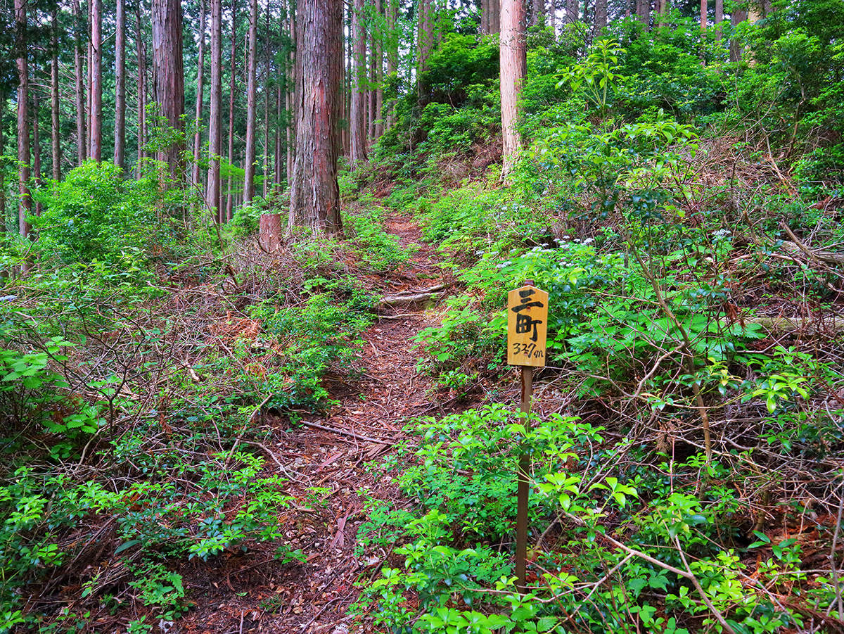 局ヶ岳9