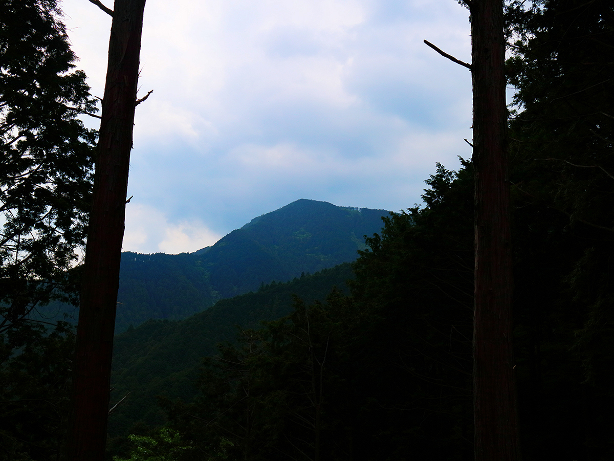局ヶ岳15