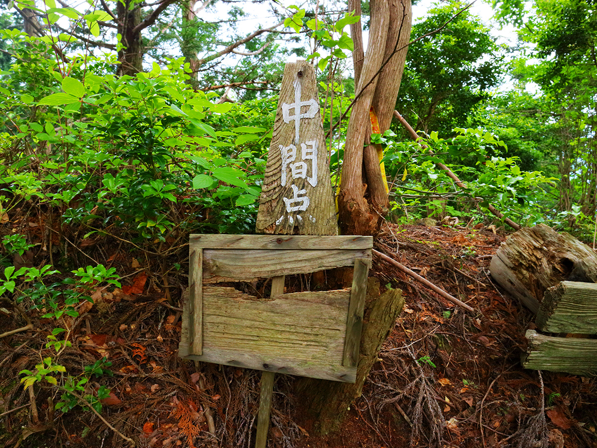 局ヶ岳18