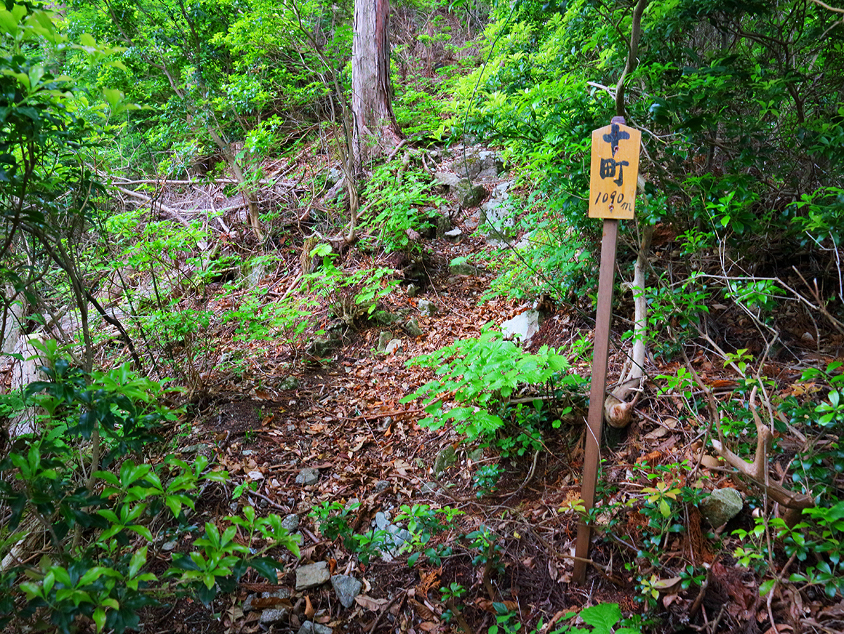 局ヶ岳19