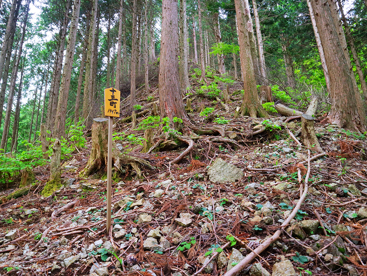 局ヶ岳22