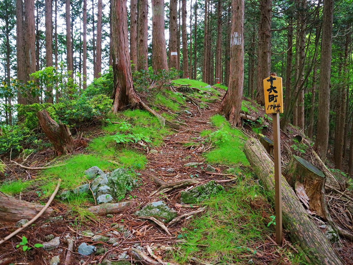 局ヶ岳27